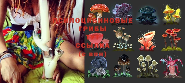 Альфа ПВП Абдулино