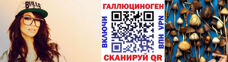 Галлюциногенные грибы мицелий  где купить наркоту  Костерёво 